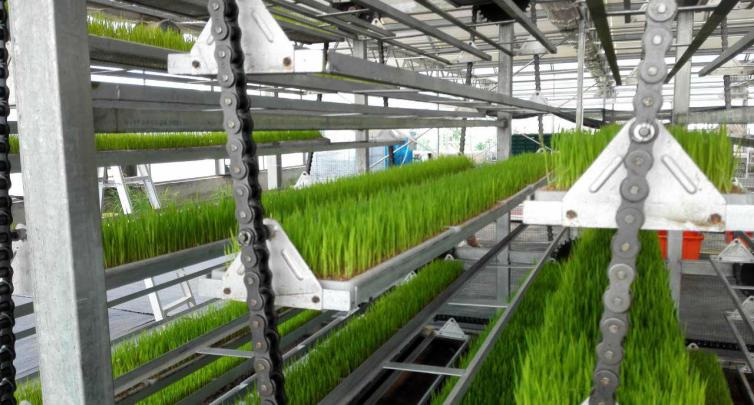 育苗機(jī)械設(shè)備16AD1.16輸送鏈?zhǔn)褂冒咐?/> </a>
            <p class=